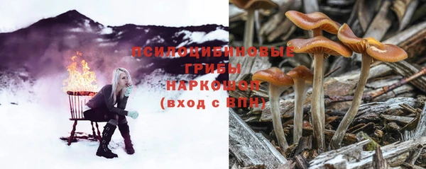 метамфетамин Алексеевка