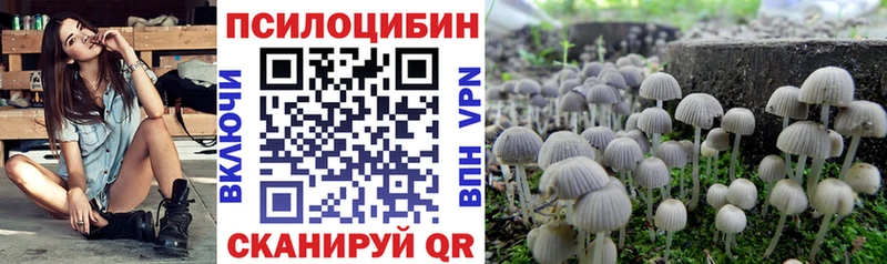 Псилоцибиновые грибы Magic Shrooms Волхов