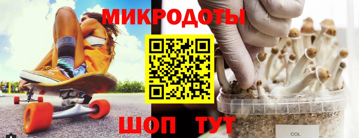 Галлюциногенные грибы мицелий Волхов