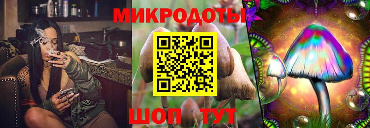 как найти закладки  Вход с VPN  Волхов  Галлюциногенные грибы Psilocybine cubensis 